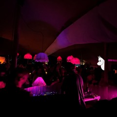 Techstil @ Muumimaa, Wednesday 01:45-03:30 - Borderland 2024
