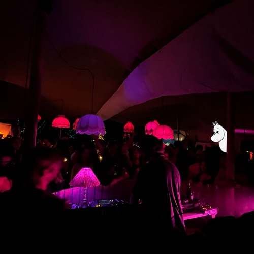 Techstil @ Muumimaa, Wednesday 01:45-03:30 - Borderland 2024