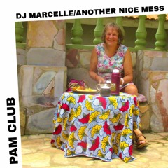 PAM Club : DJ Marcelle / Another Nice Mess