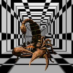 Complex Prog Attack 🦂 Scorpion 2021 SET