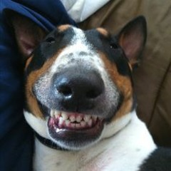 LoopDigger Sunday Roulette No15