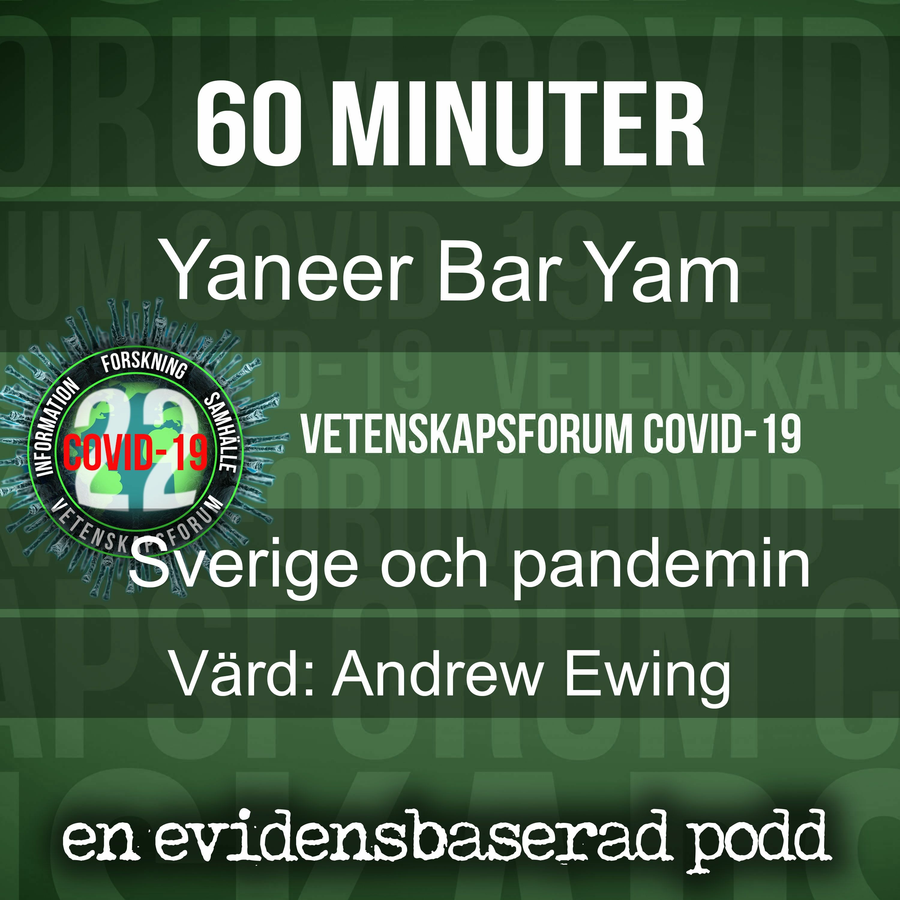 Yaneer Bar-Yam – Sverige och pandemin