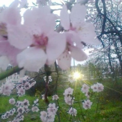 motivation.mp3 @winona