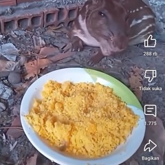 JIGGLABANG FUHALATANG WIBBLY DOOGAY