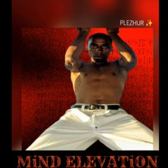 MiND ELEVATiON (the Unfinished Business Edition)