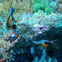 2025 ✦✦ it's a wrap