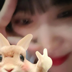 제목 : 연주 니가 잘못했다 (빵e는 귀여워🤍)