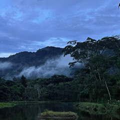 Andean Amazon Dusk by Ponds
