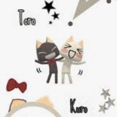 romantic love toro cat