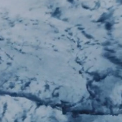 DNB05