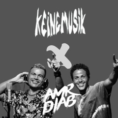 Keinemusik & Amr Diab - Thandaza X Ya Leil (Mashup by Zein Amr)