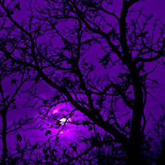 Gunna - Wunna Flo Instrumental