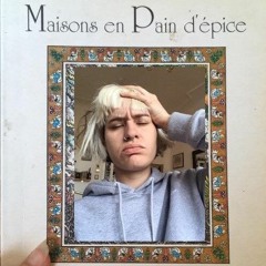 Maisons en Pain d'Epice - L'Audiobook. Chapitre 1 : La Maison, les Bois, et le Canard Blanc