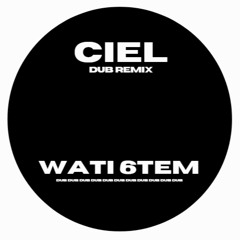 CIEL DUB REMIX - HIDDENTITIE ft. DJ SPADRILLE