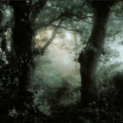 Percatric - Army