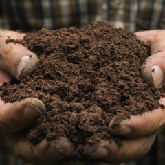 Loyal To The Soil