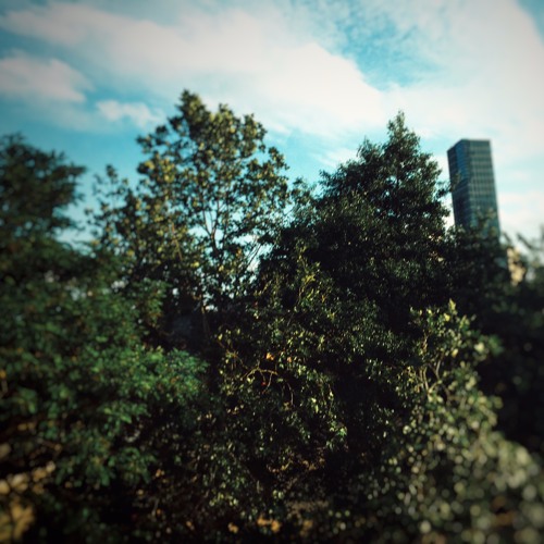 Comprehend(Loop Week Eb)