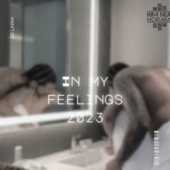 IN MY FEELINGS 2023 SLOWJAMS MIX MIXED BY DJ LARNI