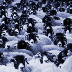 Them Clones  on Echo Garage remixed by Meezerpocalypse (Traurigkeit Ist Nur Ein Gedanke)