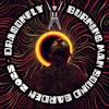 DRAGONFLY - MIDNITE MIRAGE - BURNING MAN - SOUND GARDEN - 2025 DJ mix artwork - Electronic music tracklist cover image