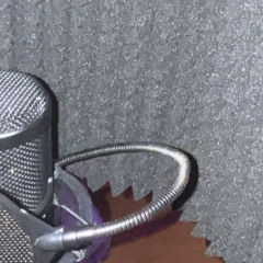 MIZUHO(feat.djテトラ&capital bear)