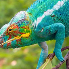 12 Spin, Roll, Tip, Tilt