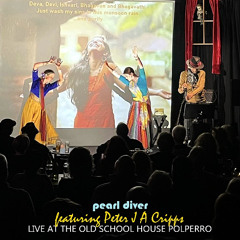 The Pleasure Dome (feat. Peter Cripps) [Live]