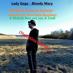 Lady Gaga - Bloody Mary (ANGEMI Remix & Kokwak Bootleg & Heartless bootleg) [TheDJAbbe Mashup 2]