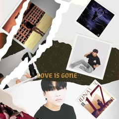 LOVE IS GONE