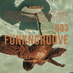 FunkNGroove 003 - Anele x Bornabstract