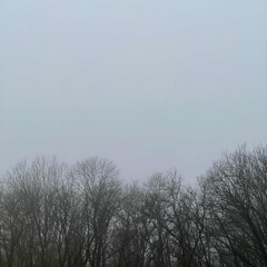 amnesia (slowed & reverb)