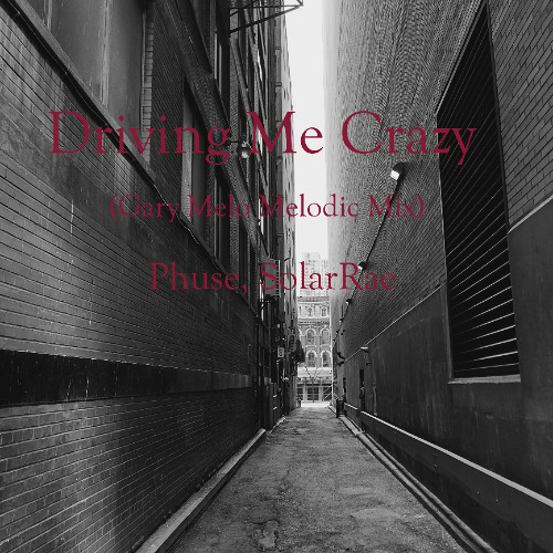 Driving Me Crazy (ft. SolarRae) (Gary Melo Melodic Mix)