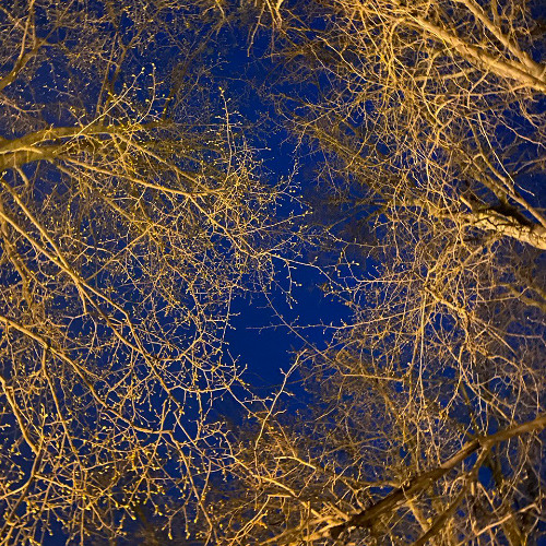 Midnight Artefact