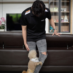 Full Senyum Sayang - #Req Sion
