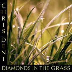 Diamonds In The Grass