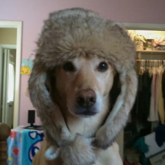 vo me matar esta noite xd