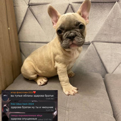 располовиним