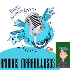 ANIMAIS MARABILLOSOS: ENTREVISTA UNIDADE CINOLÓXICA GARDA CIVIL