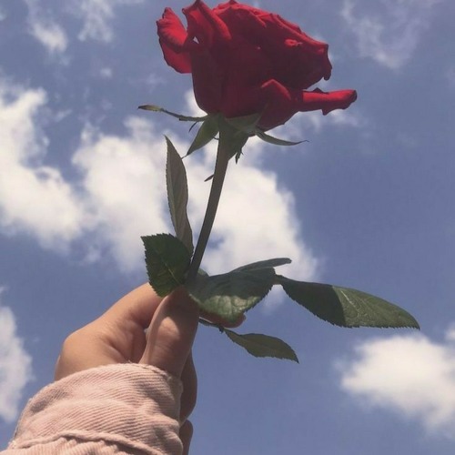 " o tempo passa 😢 "  prod by Fantom