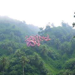Amazonian mix
