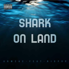shark on land