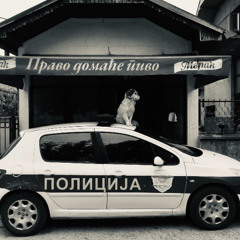 TRANSMISSION FROM ZETOVGRAD VOLUME 10