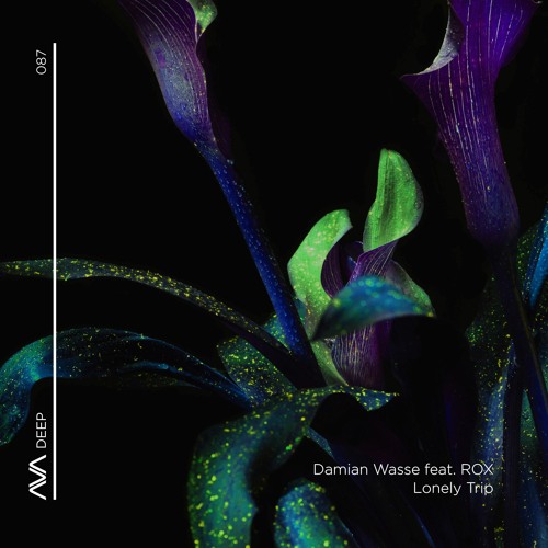 AVAD087 - Damian Wasse feat. ROX - Lonely Trip