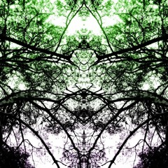 2020 visions - Best of ambient 2020 part 2