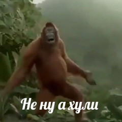 LILDRUGHILL - Чудеса