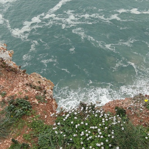 theme of the week is optional