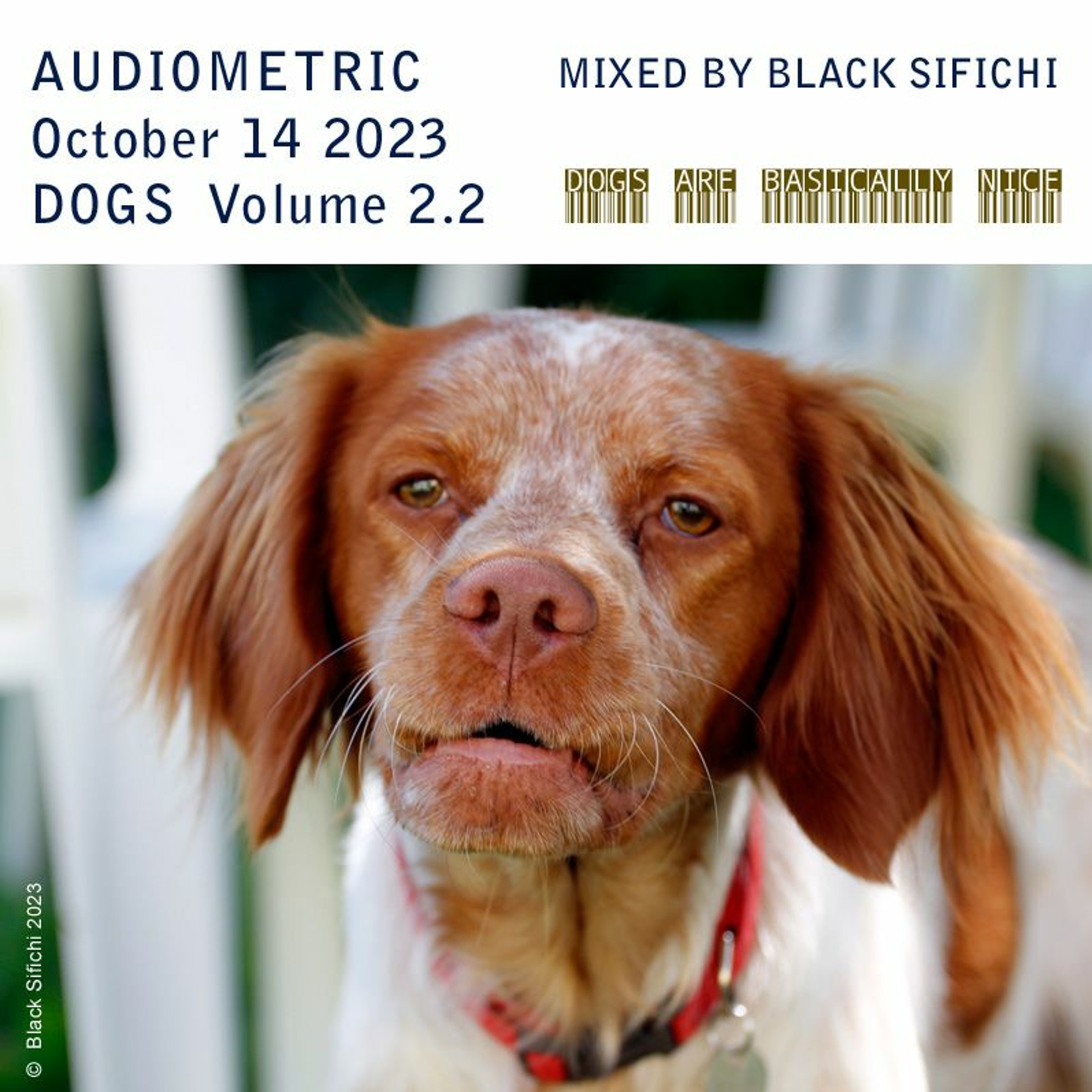 Audiometric October 14 2023  DOGS Volume 2.2