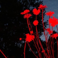 straight to the heart