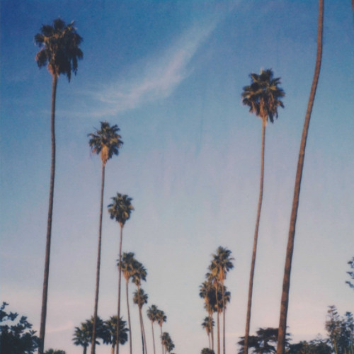 Forever x Living in Color (Marshll Edit)