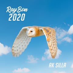 DJ RAY BON - 2020 (2020)